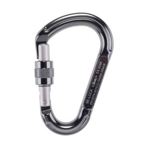 Be Lock Screw