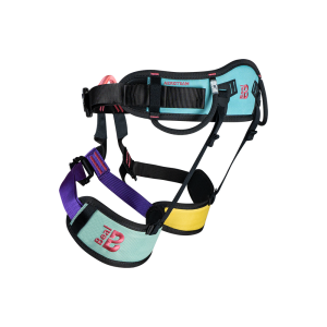 Beal Aeroteam IV